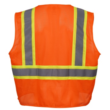 orange-back_295591339